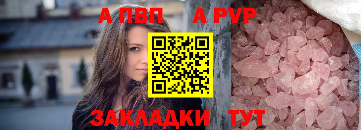 APVP СК КРИС Гай