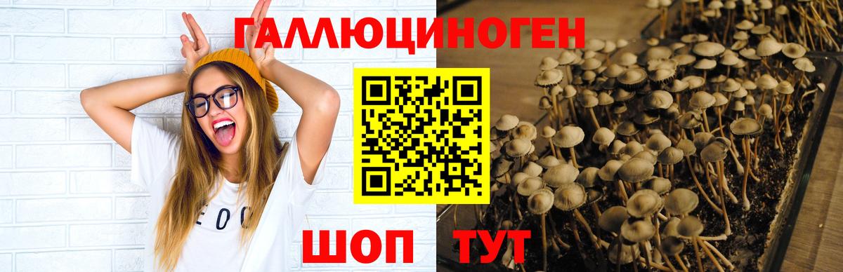 Галлюциногенные грибы MAGIC MUSHROOMS  Вход с VPN  Гай 