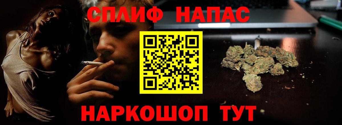 Шишки марихуана планчик Гай